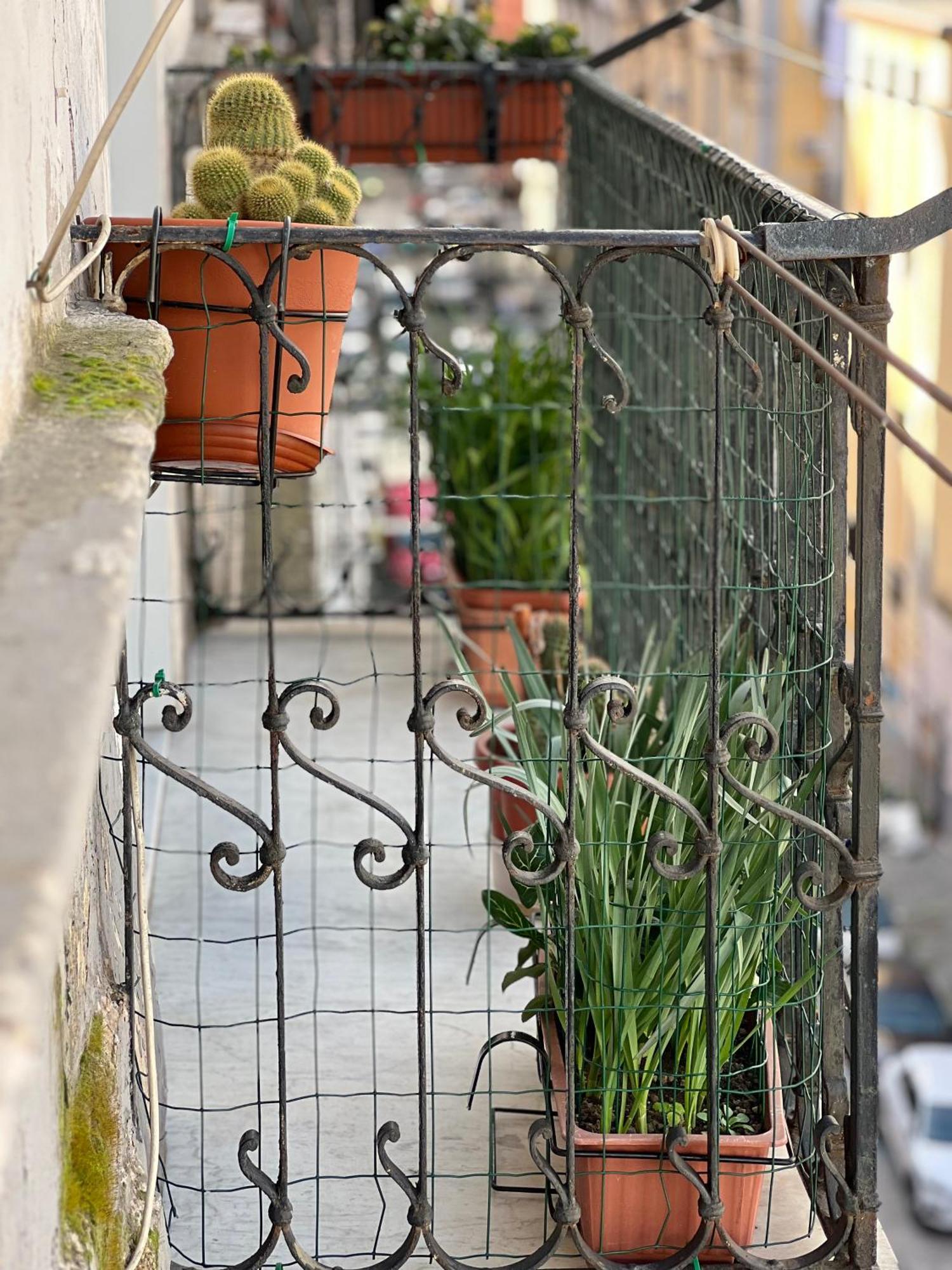 Bruno House Bed & Breakfast Naples Exterior photo
